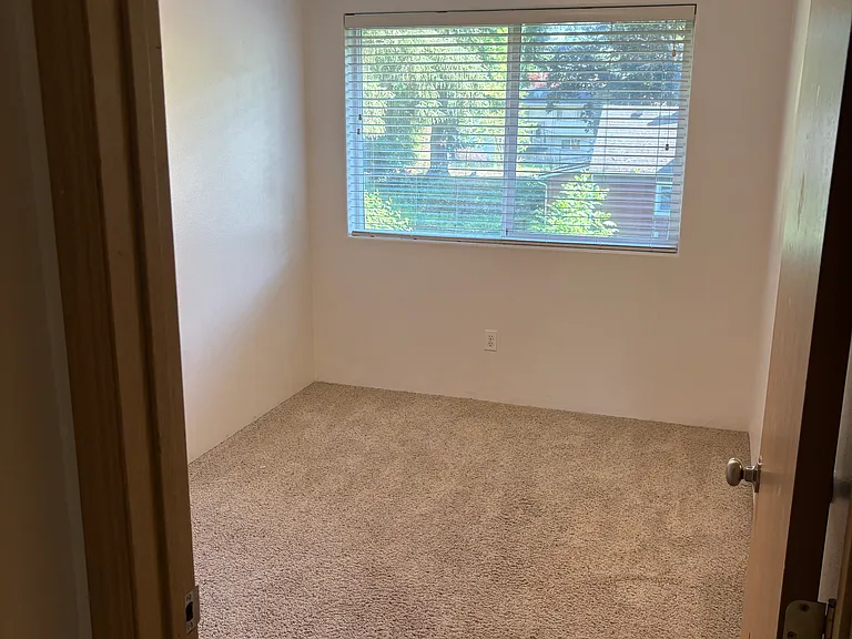 701 Birch St #3 — Photo 18