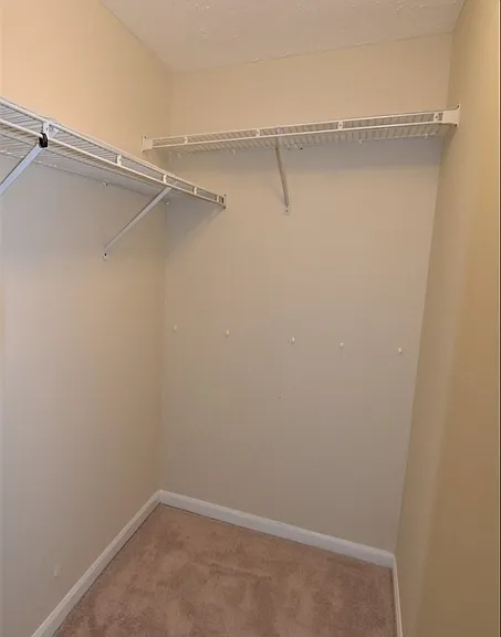 626 Jupiter Hills Ct — Photo 11