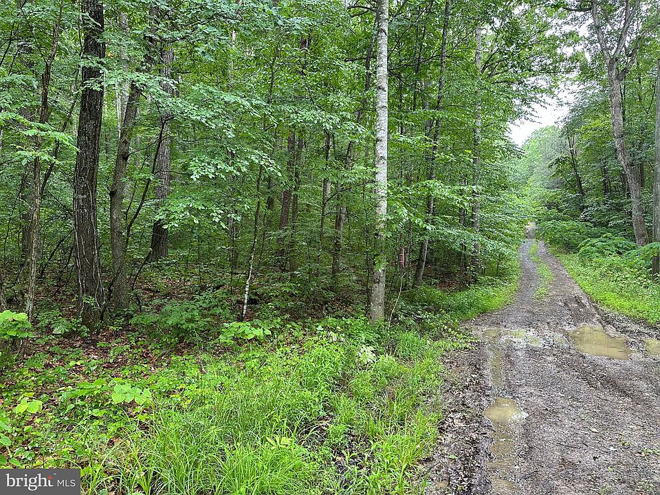 1st image of Forest Dr
