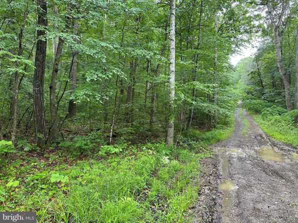 Forest Dr, New Market, VA 22844