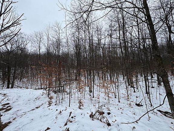 3rd image of Woodland Dr
