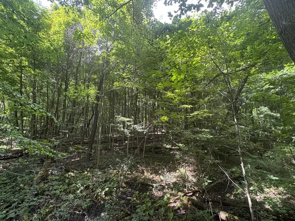 3645 Township Road 161, Marengo, OH 43334