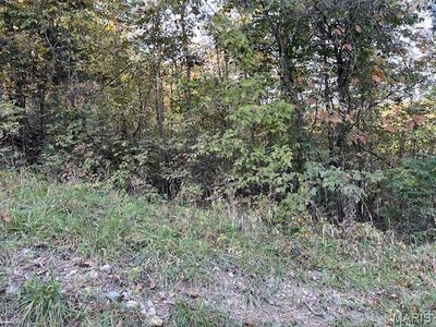 75 Skyline Dr N, New Florence, MO, 63363