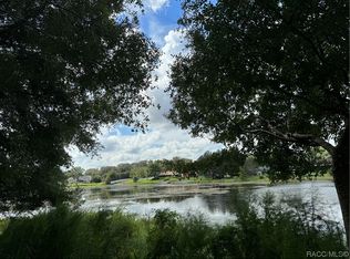9820 E Lake Tahoe Dr, Inverness, FL 34450
