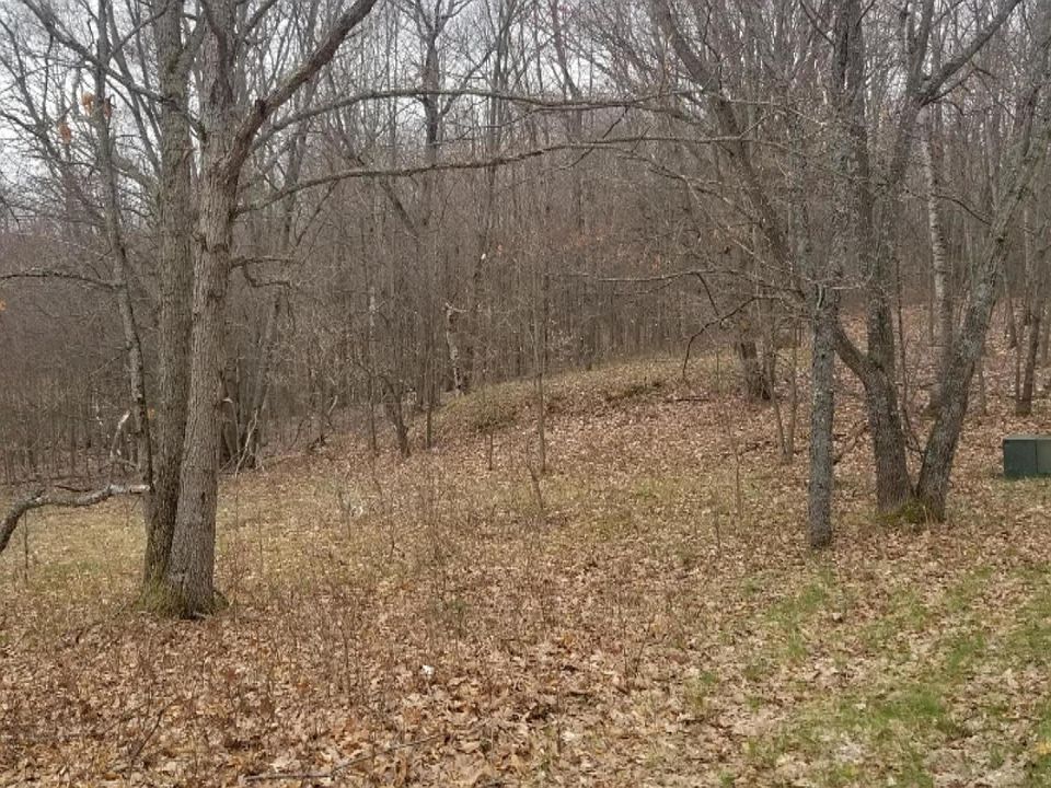 2nd image of Zurich Dr