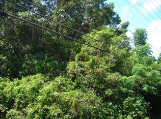 Pahoa Rd LOT 47-A, Kurtistown, HI 96760