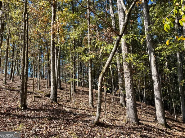 TRACT 1 N Ruckersville Rd, Elberton, GA 30635