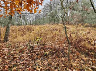 15 Whitetail Way, Dryfork, WV 26263