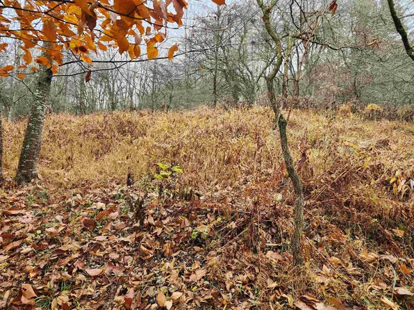 15 Whitetail Way, Dryfork, WV 26263