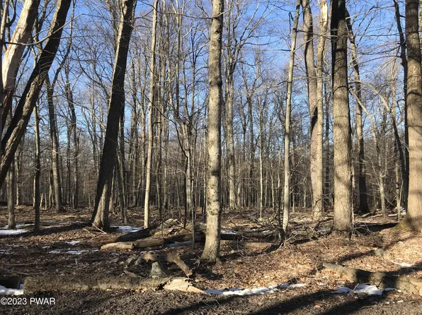 51 Sycamore Dr, Newfoundland, PA 18445