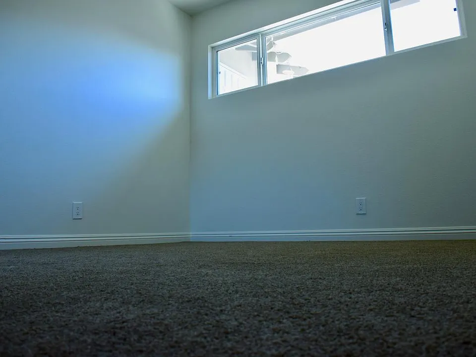 New Paint, New Rug