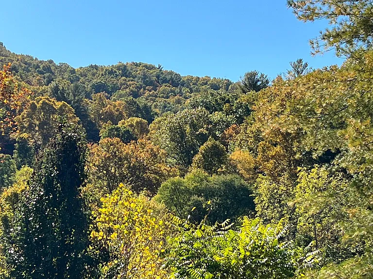 View from your front door of gorgeous hills and trees!