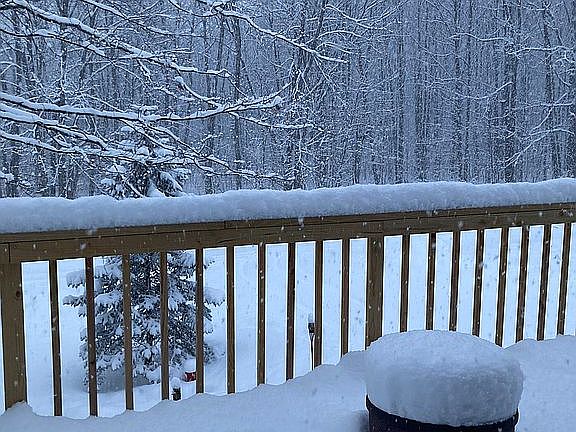 Beautiful wooded setting