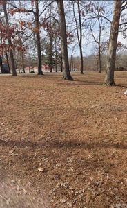 Lots 1 & 2 Highway Ra, Wappapello, MO, 63966