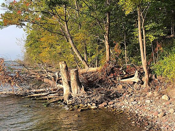 2nd image of 9459 Ingersoll Dr