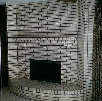Wood burning or gas log fireplace (has gas logs )
