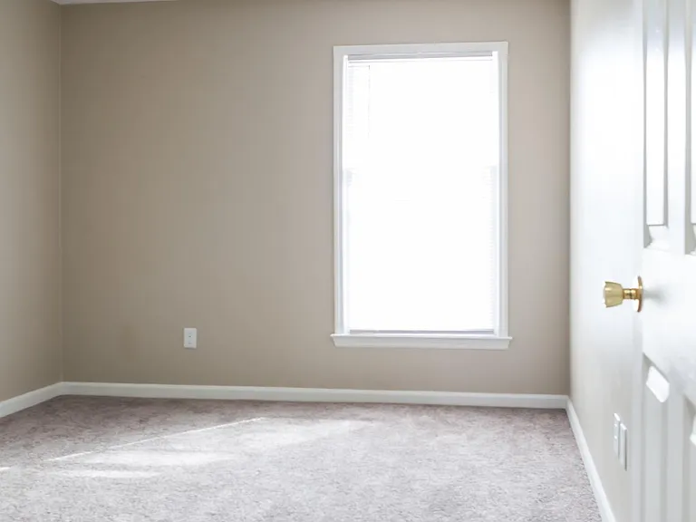 1118 Mount Rushmore Way — Photo 19