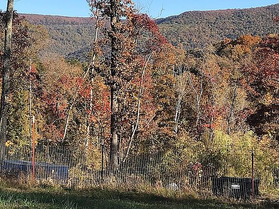 Views of Signal Mountain 