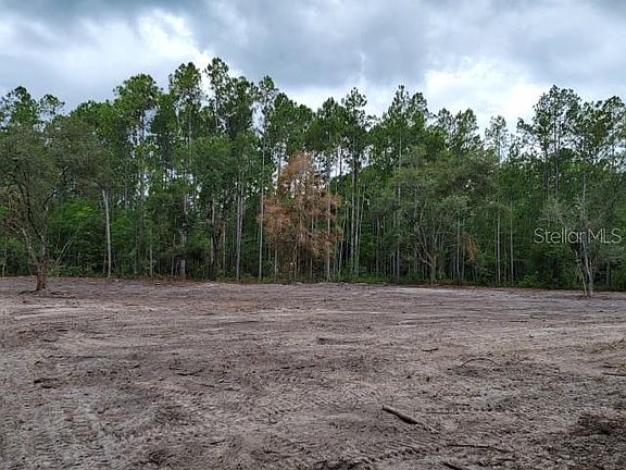 5th image of 4325 CEDAR FORD BOULEVARD