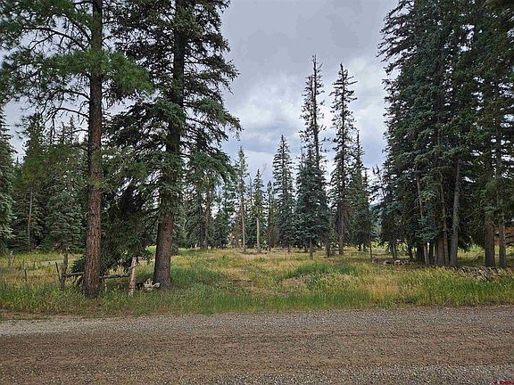 5th image of 1229 W Vallecito Creek Road