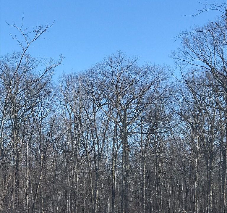 1st image of 80 Acres Half Mile Rd