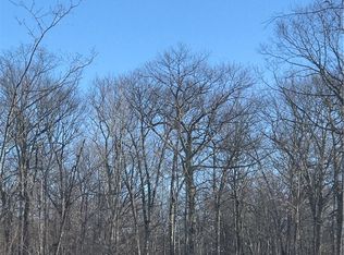 80 Acres Half Mile Rd, Herbster, WI 54844