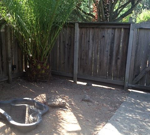2nd image of 824 W Spain St
