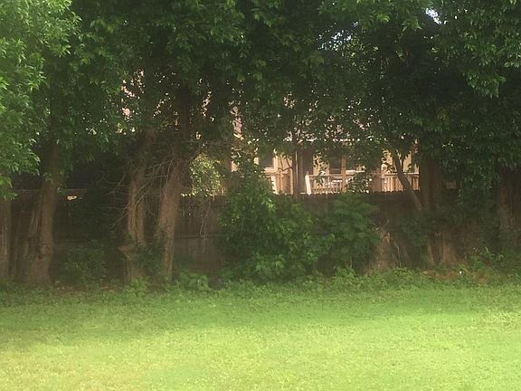 Back yard