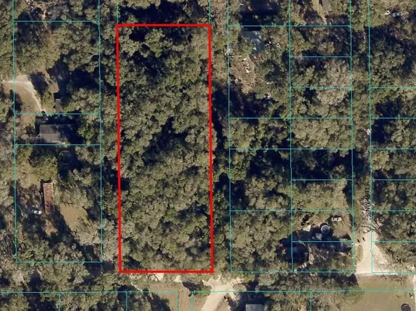 NW 155th St Lot 6, Reddick, FL 32686