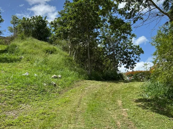 Km Barrio Llanos Tuna Carr 103 #Home 9, Cabo Rojo, PR 00623
