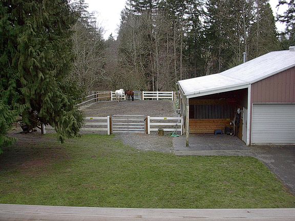 View of Main Paddock