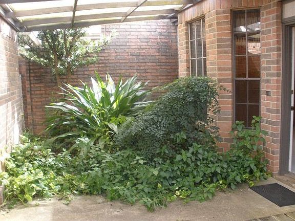 3rd image of 109 Manor Pl
