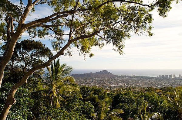 2nd image of 5020 Maunalani Cir