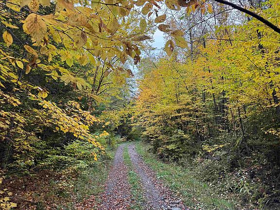 4th image of 0 Turcotte Road