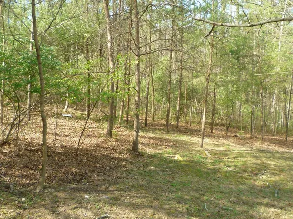 187 Sandpiper Dr, Basye, VA 22810