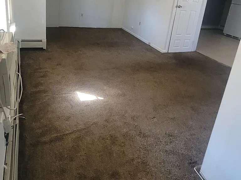 134 Lafayette Ave #2F — Photo 8