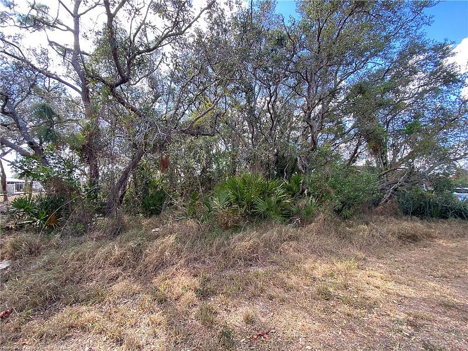 1st image of 2923 Sabal Palm Dr