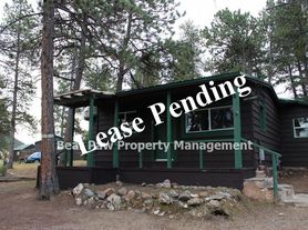 32993 Snowshoe Rd, Evergreen, CO