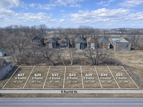 629 E Euclid St, Detroit, MI 48202