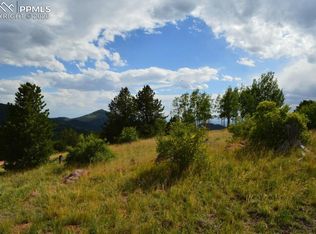 1368 Fairview Dr, Cripple Creek, CO 80813