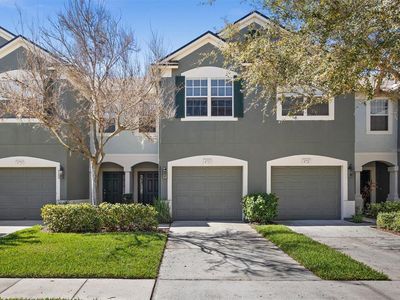 4723 Barnstead Dr, Riverview, FL, 33578