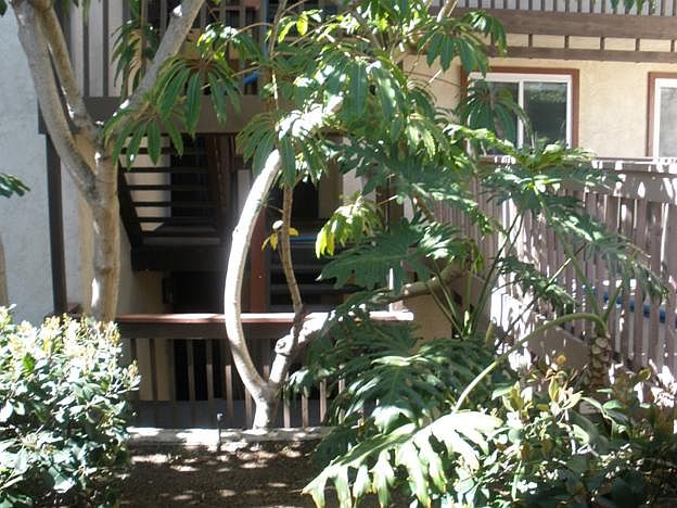 1st image of 3652 Clairemont Dr Unit 1A