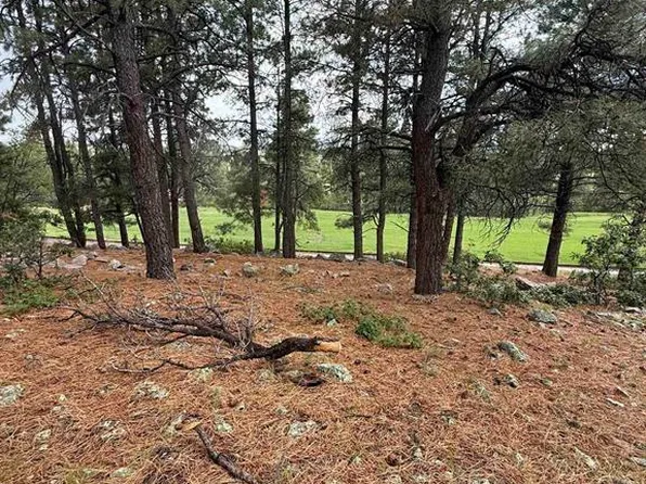 94 W Golf Place, Pagosa Springs, CO 81147