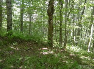 650 Scout Mountain Dr, Cullowhee, NC 28723