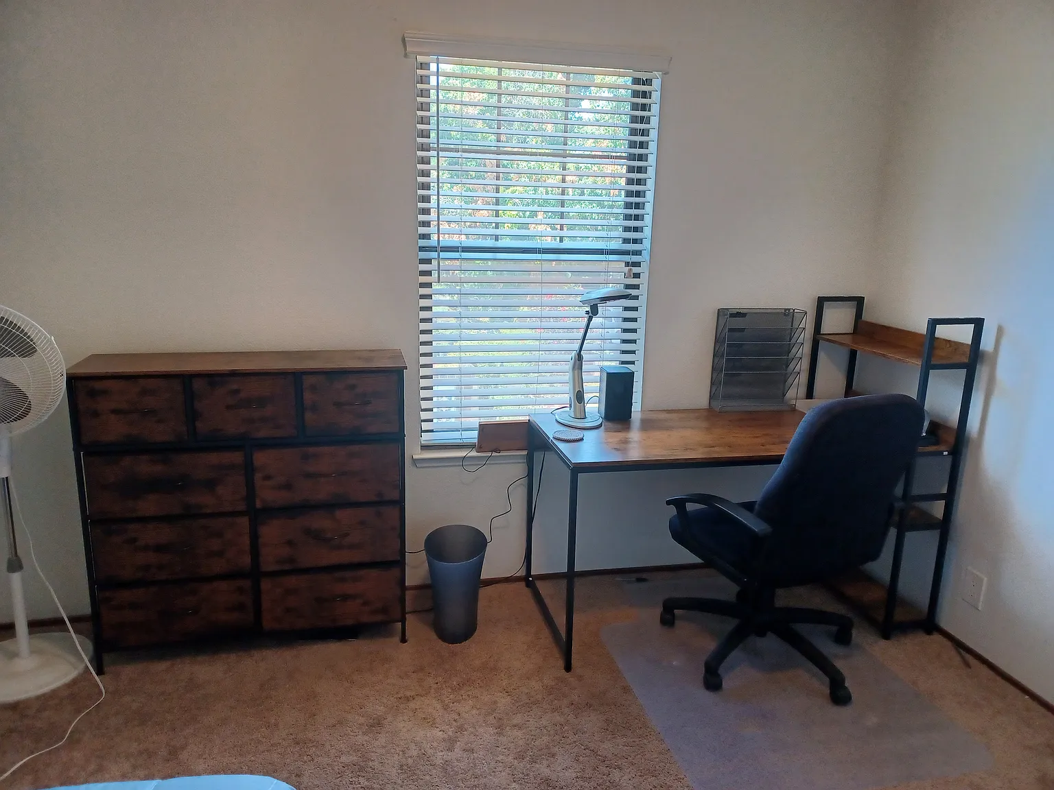 2414 Amapola Dr — Photo 3