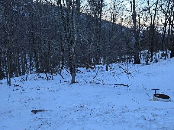2nd image of 103 Snowplow Lane