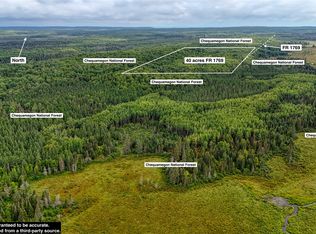 40 acres on FR 1769, Cable, WI 54821