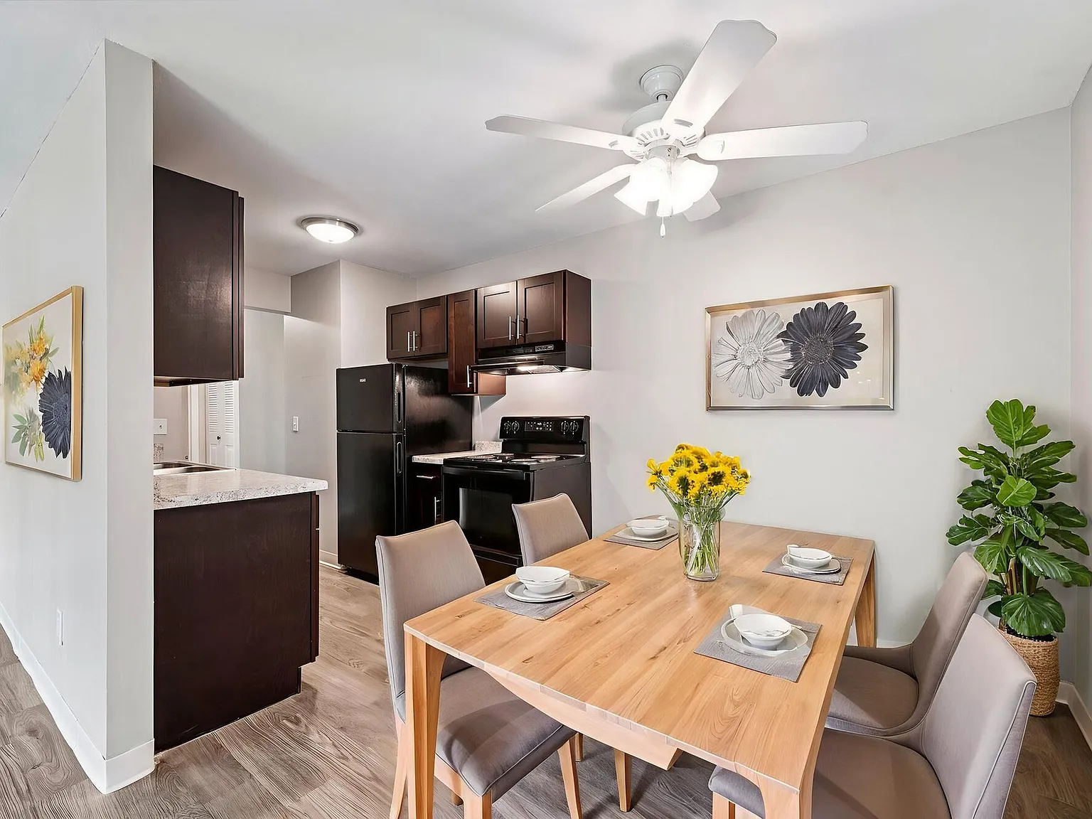 Windsor South Apartments — Photo 4
