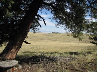 394 Tapedero Rd, Hartsel, CO 80449