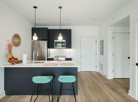 Brand New Apartment Cedar Park